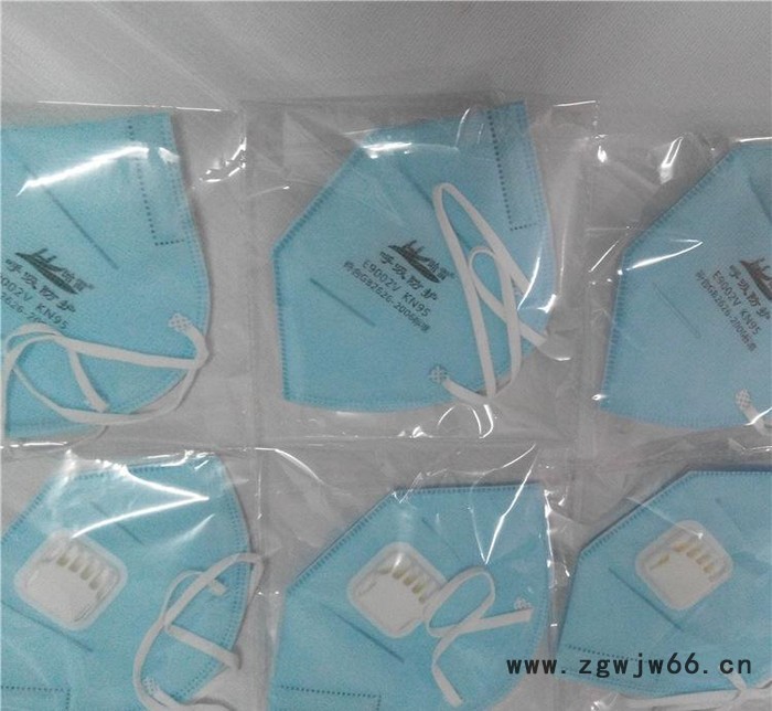 哈雷 专业防护PM2.5口罩 防雾霾** 防病菌