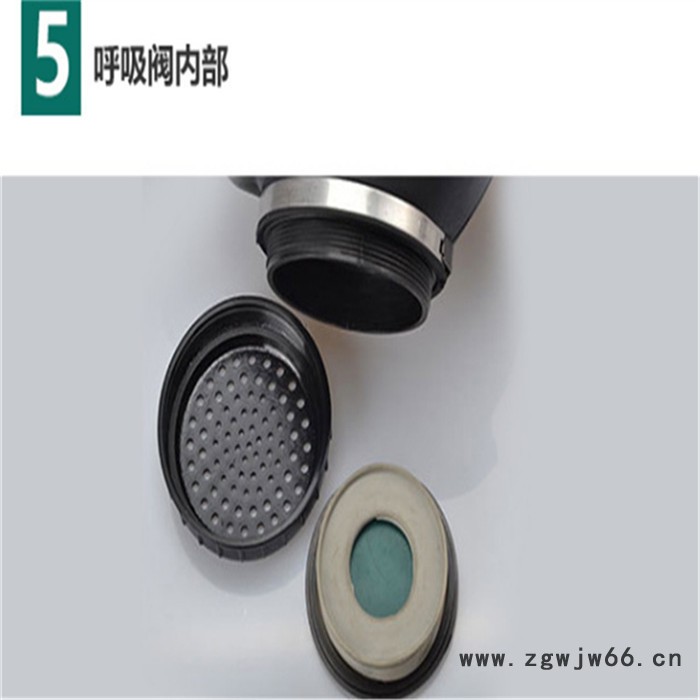 FMJ05型防毒面具  全脸防毒面具  防化全面具  05型防毒面具