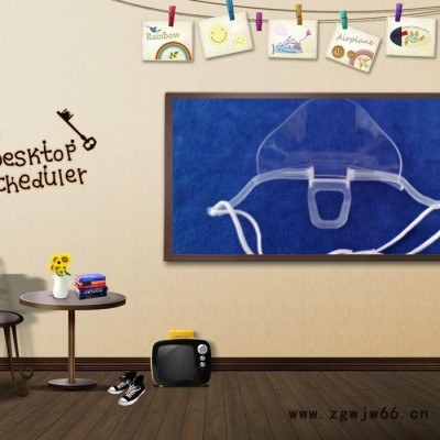 森蕾101 防护口罩 **，透明口罩厂家 透明口罩