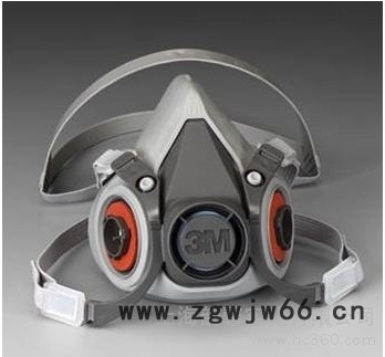 供应3M6200防毒面具