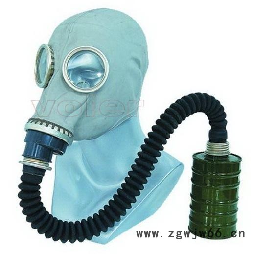 智斟GB2890—95头套式防毒面具 全面罩防毒面具
