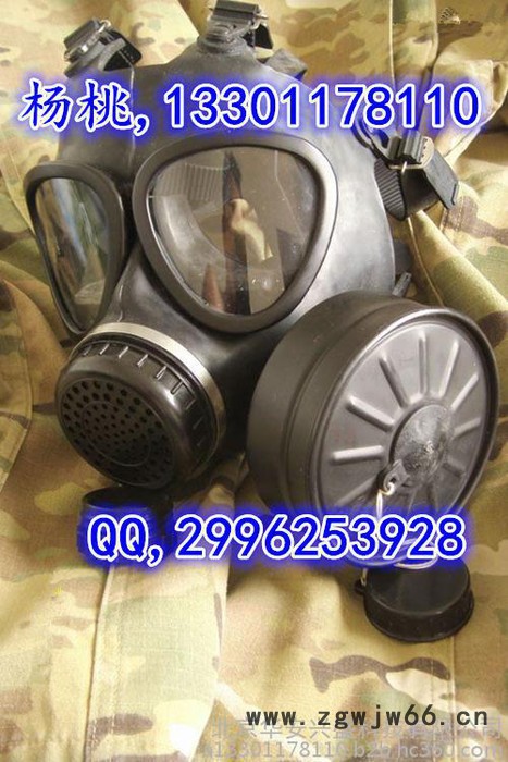 防毒面具 防毒面具价格 军/民用防毒面具北京防毒面具厂家13301178110图4