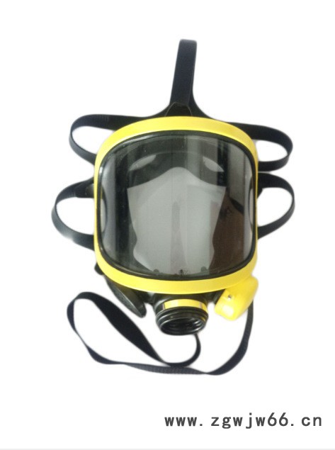 **包邮全面罩 过滤式综合防毒面具图2