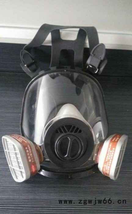 供应【ZZXF-45 头套式防毒面具 全面罩防毒面具】