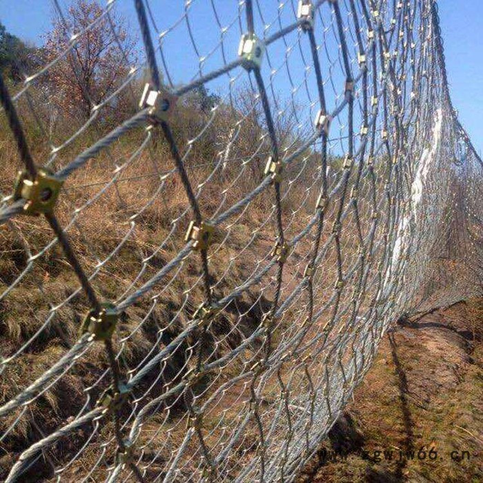 【派森】厂家销售 边坡绳网 钢丝绳网 安全绳网  边坡防护网  主动防护网 安全防护网  多功能防护网  可定制图3