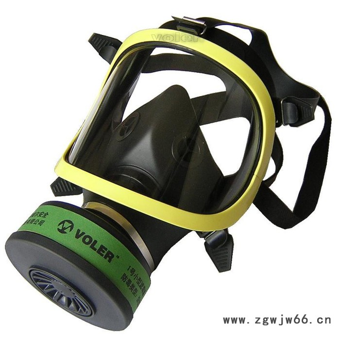 智斟DF－8全面罩防毒面具/单罐防毒面具图3