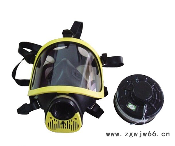 智斟DF－8全面罩防毒面具/单罐防毒面具图2