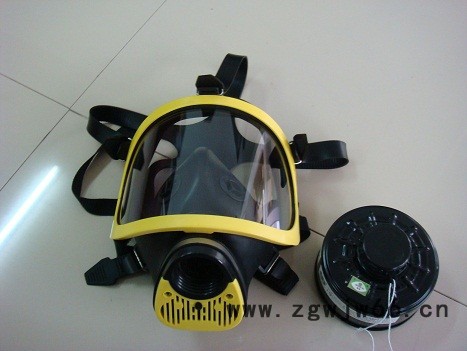 智斟DF－8全面罩防毒面具/单罐防毒面具