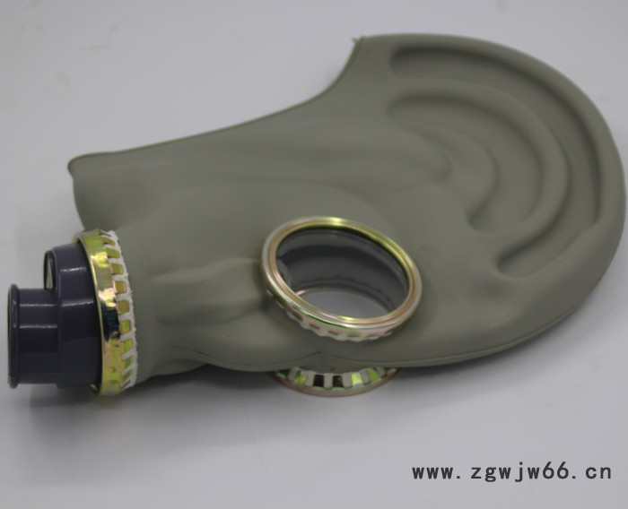 原厂唐人4#氨用防毒面具硫化氢冷库化工氨制冷防护用品图2