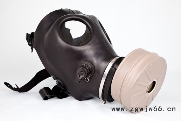 厂家供应冀航JH 多款**防毒面具图2