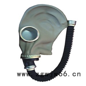 厂家供应冀航JH 多款**防毒面具图7