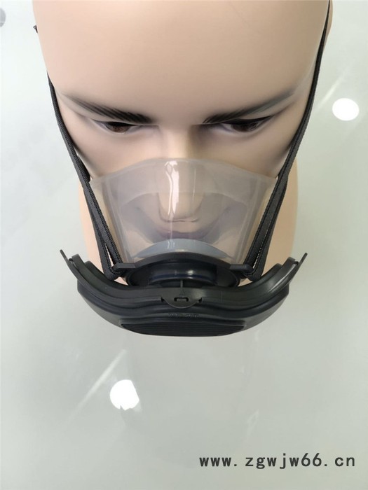 **  600G防毒面具图3