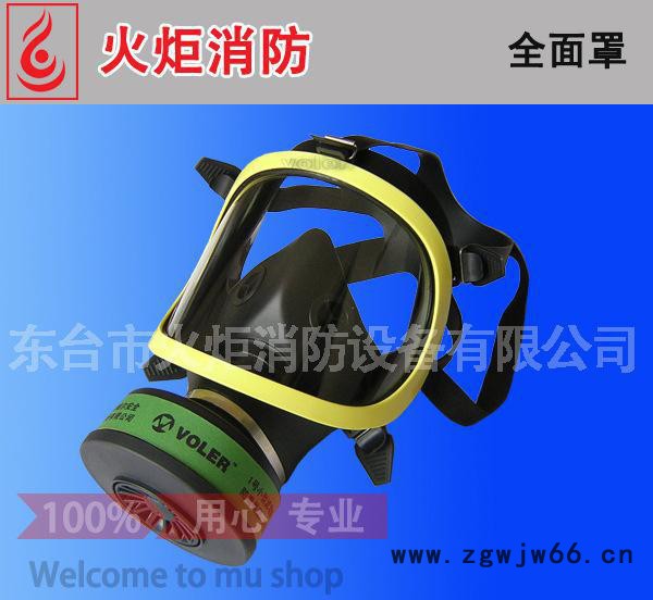【直销】全面罩防毒面具 防毒呼吸器 全面罩滤毒罐 欢迎咨询图2