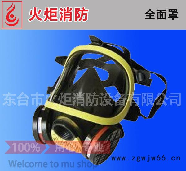 【直销】全面罩防毒面具 防毒呼吸器 全面罩滤毒罐 欢迎咨询图3