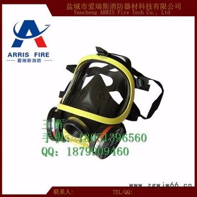 供应消防自吸过滤式防毒面具