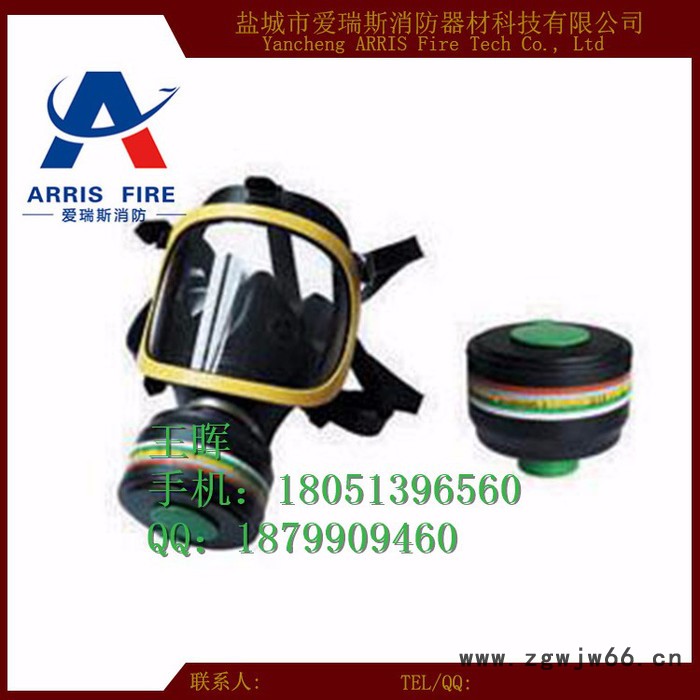供应消防自吸过滤式防毒面具图2