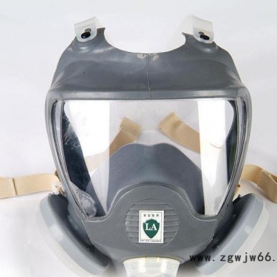 劳保用品 防尘全面具 ** 9800G(图)  防尘面罩