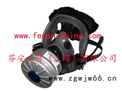 供应施密茨BW6000防毒面具图3