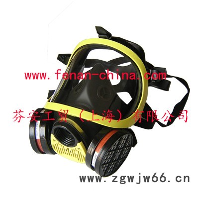供应施密茨BW6000防毒面具图2