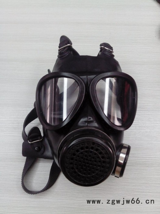 供应【VOLER 全面罩防毒面具】图3