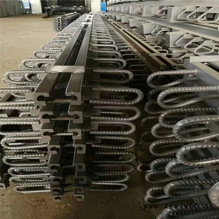 来图加工 桥梁伸缩缝 GQF伸缩缝 安全带伸缩缝 厂家思涵图2