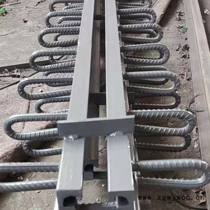 来图加工 桥梁伸缩缝 GQF伸缩缝 安全带伸缩缝 厂家思涵图3