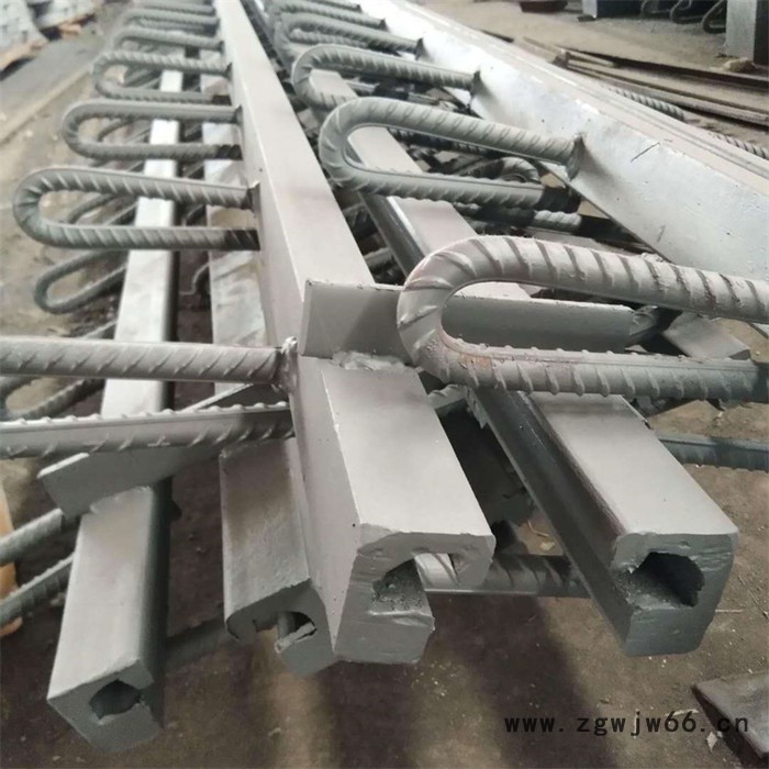 来图加工 桥梁伸缩缝 GQF伸缩缝 安全带伸缩缝 厂家思涵图8