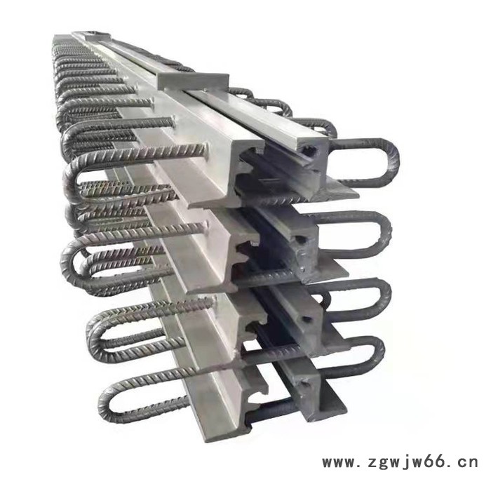 来图加工 桥梁伸缩缝 GQF伸缩缝 安全带伸缩缝 厂家思涵图5