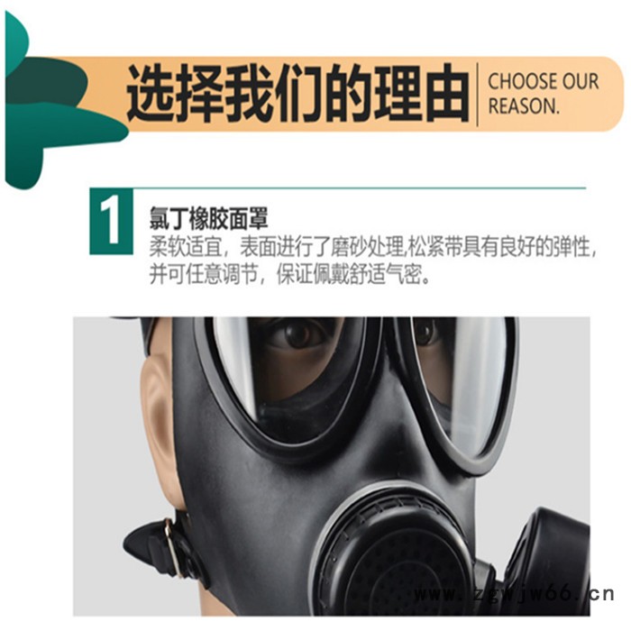天恒博达全脸防毒面具  防化全面具  05型防毒面具图2