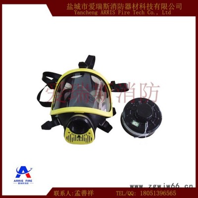 全面罩防毒面具 过滤式防毒面具 防毒面具