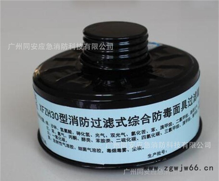 脱脂棉头戴式国标防毒1000XFZH-30过滤式防毒面具中高图3