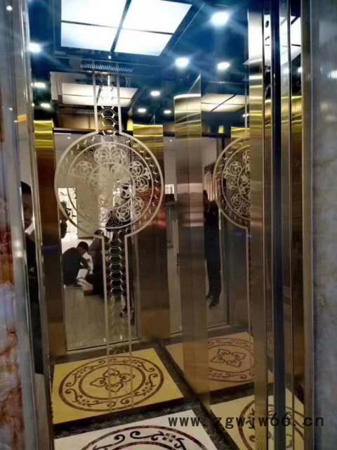 家用电梯液压升降电梯 原理是液压泵站带有安全钳安全绳 使用安全没有顿挫感无需机房节省空间图3