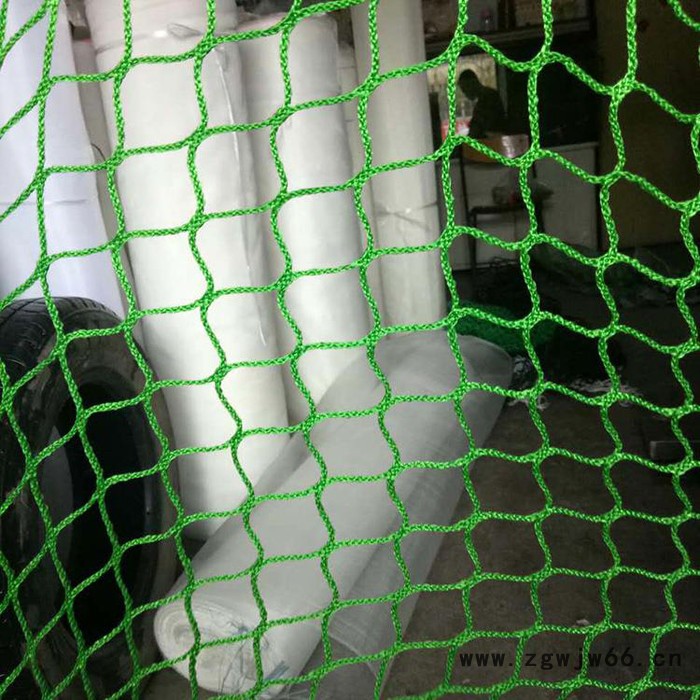 瀚海 集装箱防护网 贷柜网 尼龙绳网 安全绳网 安全网图3
