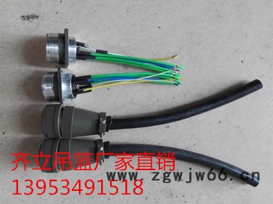 齐立ZLP630 电动吊篮安全锁，电动吊篮安全绳