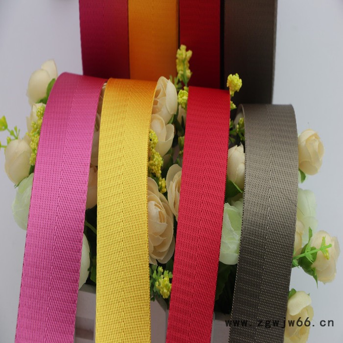 特力佳尼龙织带 人字纹平纹坑纹安全带 电脑提花织带 箱包织带图4