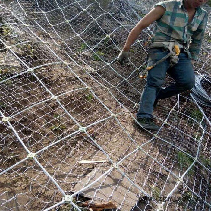 【派森】边坡防护绳网 钢丝绳网 边坡安全绳网  边坡防护网  主动防护网 安全防护网  多功能防护网  可定制图5