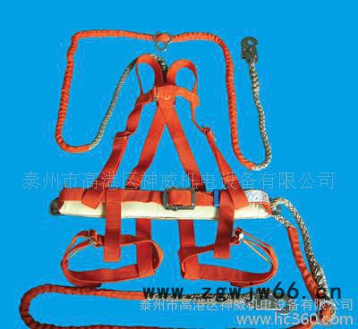 专业各式安全带图2