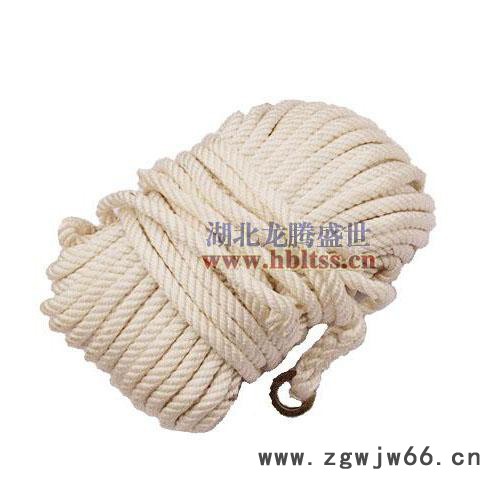 供应LTSS专业订做各种安全带、安全网图2