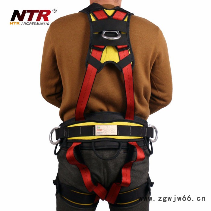 Z-Y-P-04Y单背带全身安全带户外安全带登山攀岩速降探洞 单背安全带图2