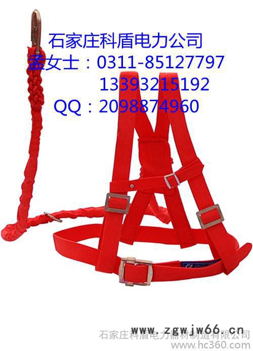 供应双背安全带 双背安全带厂家图2