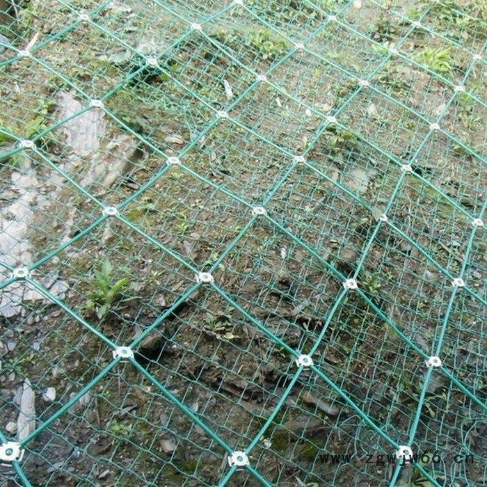 【派森】边坡绳网 钢丝绳网 边坡安全绳网 高速边坡防护网工程 量大从优 洞仁边坡防护网