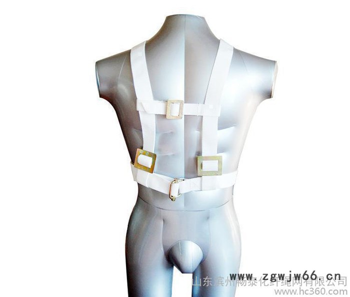 安全带 双肩安全带图3