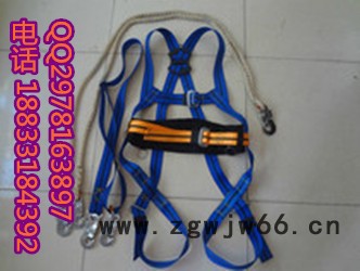 北京益光电力供应电工安全带/种类齐全/质量保证/价格优惠/0311-69004990图3