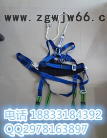 北京益光电力供应电工安全带/种类齐全/质量保证/价格优惠/0311-69004990图2