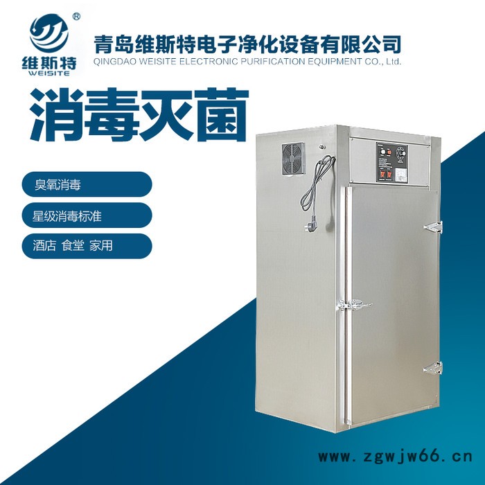 维斯特 无菌室臭氧灭菌柜   工作服臭氧灭菌柜报价图2