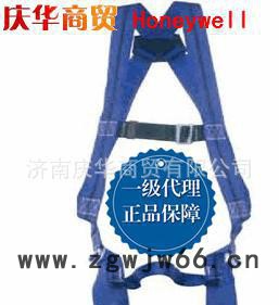 霍尼韦尔 1011890 Titan单挂点标准型全身安全带图2