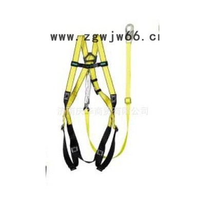 梅思安 10106885 沃克曼轻巧型全身式安全带  保护袋