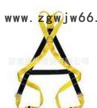 霍尼韦尔/斯博瑞安/巴固 DL-31A 交叉型全身安全带图2