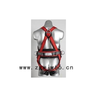 供应AEGLE 705全身式垂直安全带-建筑行业新国标