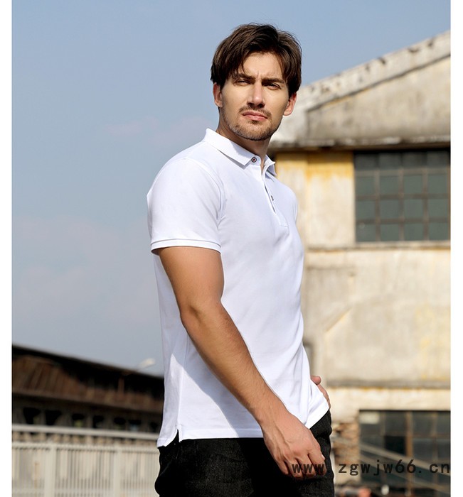 湛江厂家定制POLO衫印logo翻领T恤广告衫班服文化衫订制工作服印字图 翻领广告衫定制 POLO衫定做